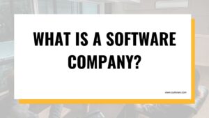 What is a Software Company
