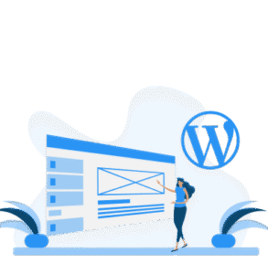 wordpress development