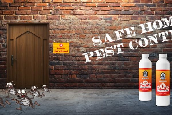 A brick wall with a light shining on it. The wall is empty and has no decorations. The light shining on the wall creates a moody atmosphere